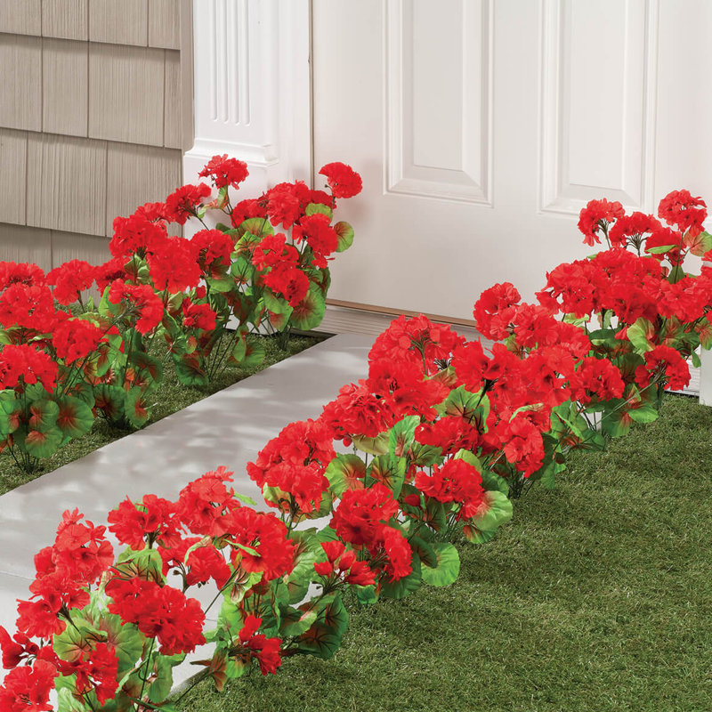 Ensemble de 3 géraniums rouges toutes saisons OakRidge