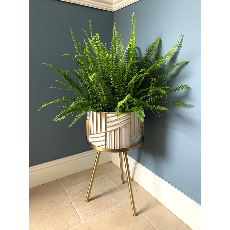 Ponte Metal Pot Planter