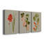 «Botanical Array IV», ensemble de 3 impressions sur toile tendue-1396970184