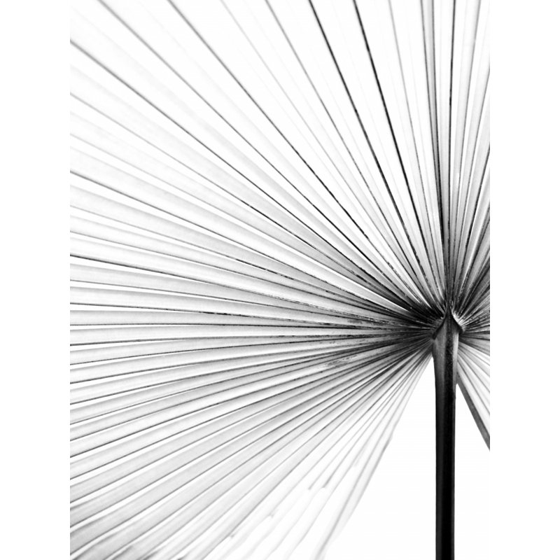 Wrapped Canvas Print, 76.2 cm H x 50.8 cm W