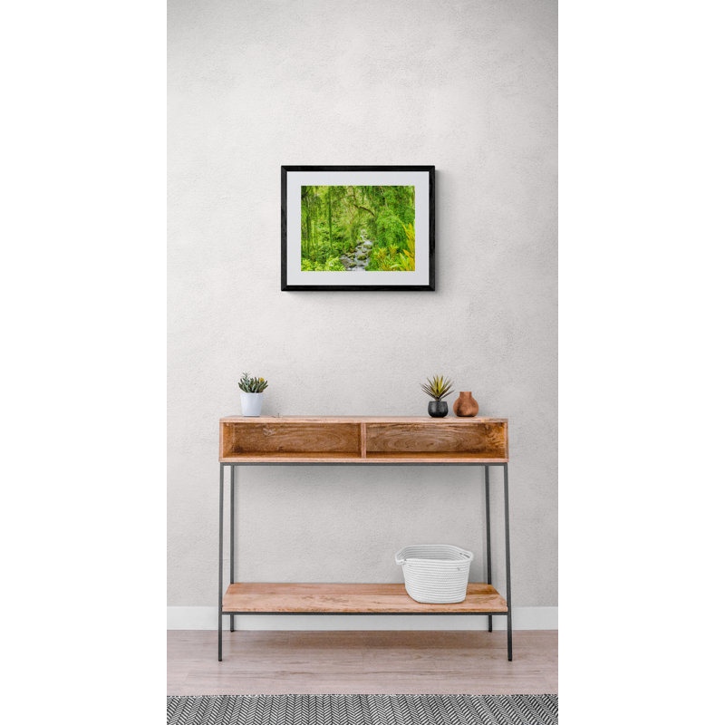 Tropical Jungle by Mark Paulda, Black Framed Paper, 16" H x 20" W