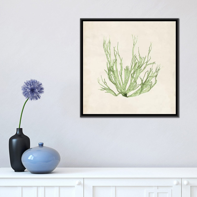 « péridot algues iv », reproduction d’impression sur toile tendue, H 18 po x l 18 po x P 1,5 po, Toile avec cadre noir