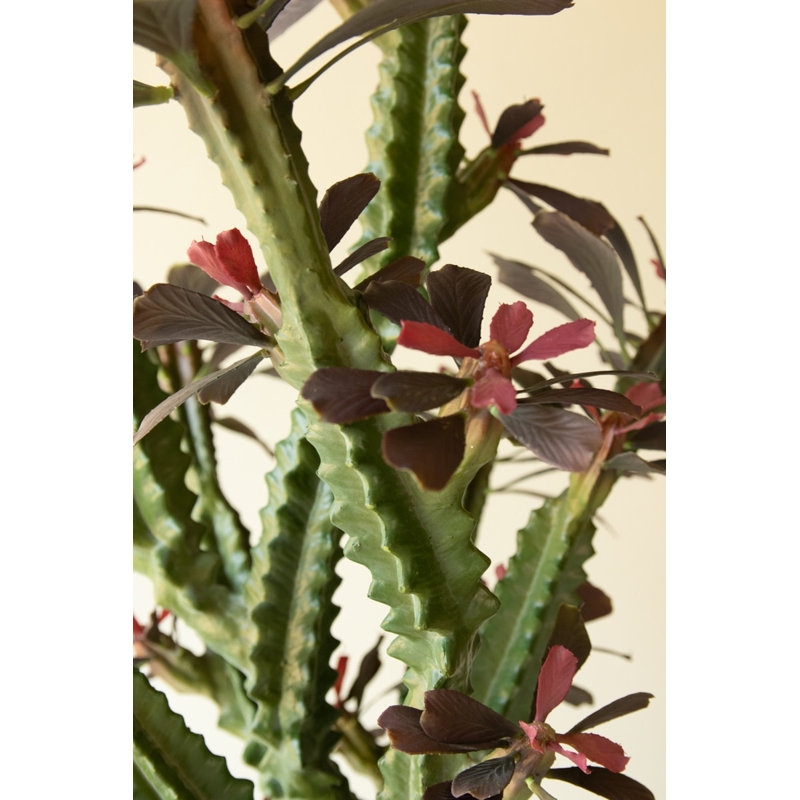 Cactus colonne artificiel Kalalou