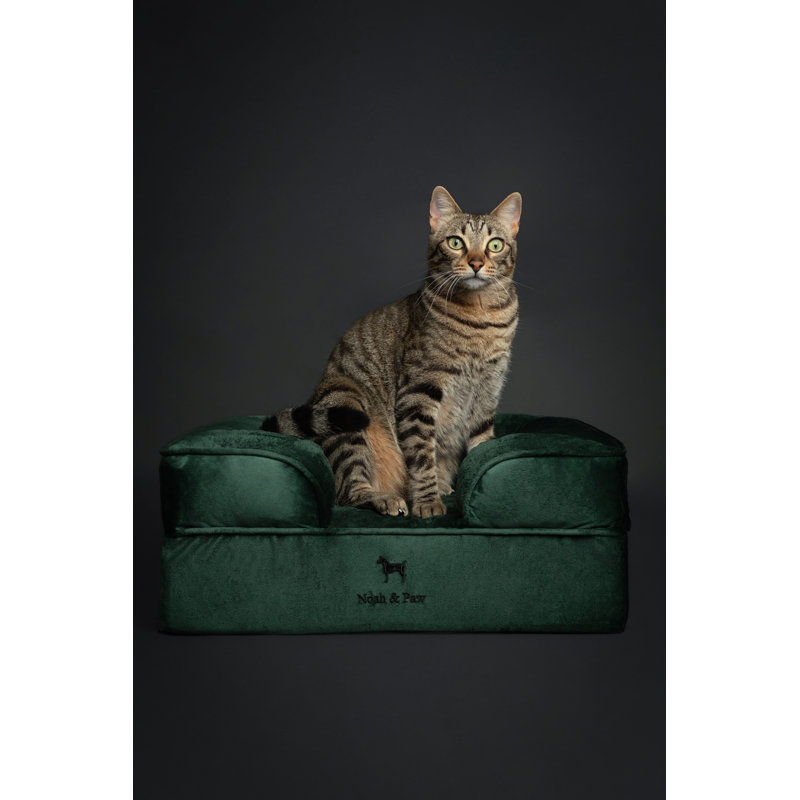 Lit pour chien géant Noah & Paw XXL, lits orthopédiques pour chien, mousse viscoélastique infusée de gel rafraîchissant, housse intérieure, imperméable, lavable à la machine (collection de canapé en velours)