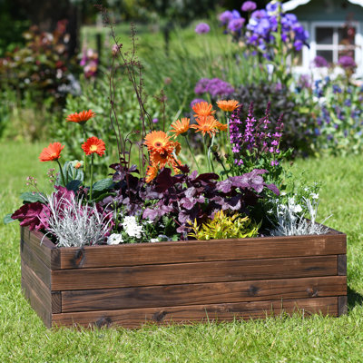Ayube Wood Raised Garden Bed