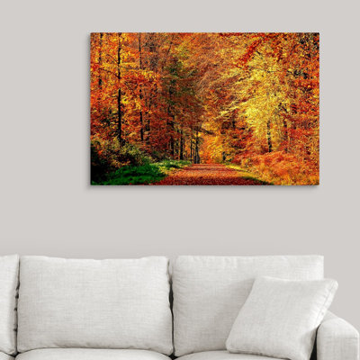 " Autumn Way " by Philippe Sainte-Laudy