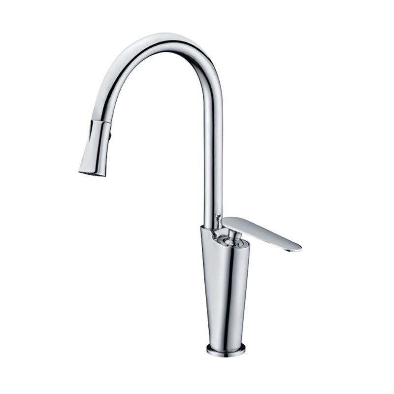 Valley Acrylic Ltd. Pull Out Kitchen Faucet
