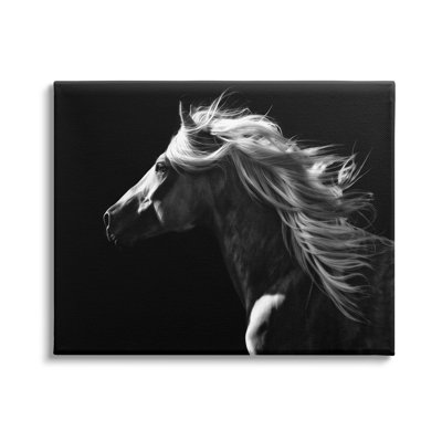 «Windblown Stallion Mane» sur toile par PHBurchett