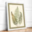 Study in Ferns Botanical - Framed Print-1857950282-1857950285