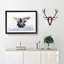 Flying Pigeon in Abstract - Framed Print-55728174-55728175