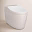 Washlet® Dual-Flush Elongated One-Piece Toilet (Seat Included)