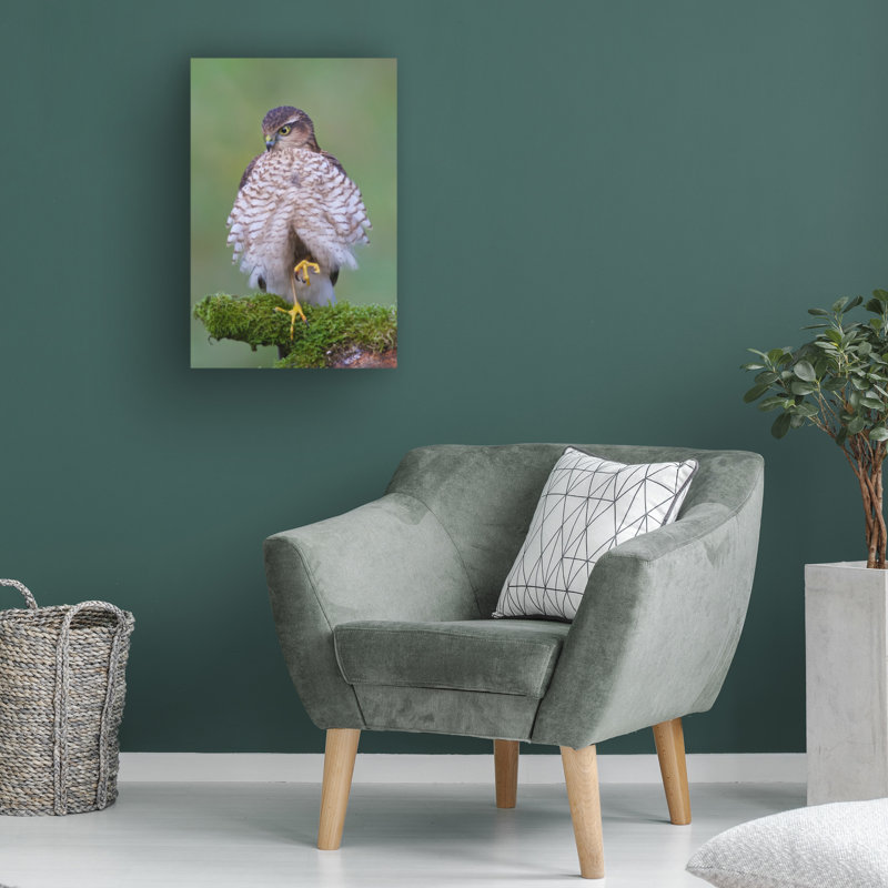 Art sur toile, Bolaire Ray Cooper, H 47 po x l 30 po