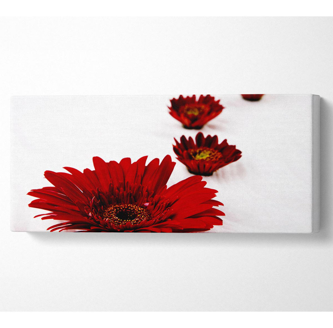 Rote Gerbera-Köpfe - Kunstdrucke auf Leinwand - Wrapped Canvas