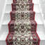 Stair Runner Adamski Oriental Indoor Area Rug-40897110