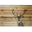 «Inquisitive Deer», reproduction d'art sur bois de pin naturel-2124440342