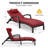 Miluse Outdoor with Cushions Patio Chaise Lounge-1581089091