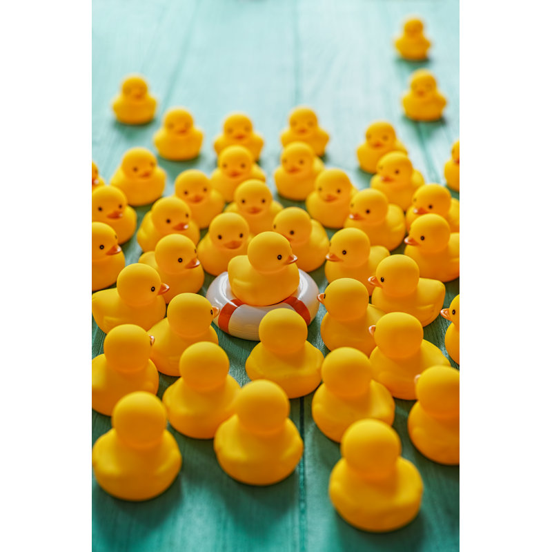 Closeup Of Toy Ducks by Enviromantic - Print, 91cm H x 61cm W