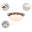 Amauriah Glass Flush Mount