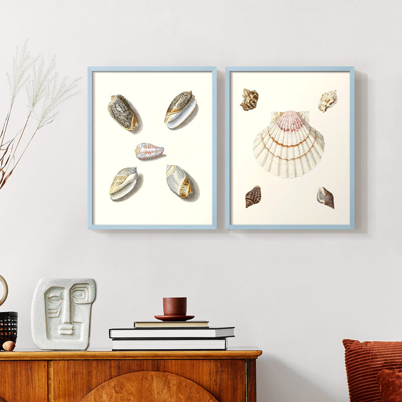 Pastel Knorr Shells III - reproduction encadrée de qualité supérieure - prête à être accrochée - aucun clou requis - aucun clou requis