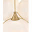 Skye 6 Light Pendant by Lisa McDennon