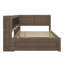 Daybed With Storage Shelves, USB, LED, And Trundle-314043649