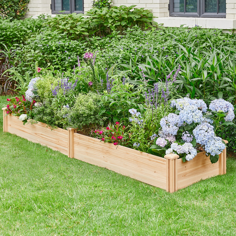 Wooden Raised Garden Bed, Wood, 27cm H x 241.5cm W x 62.5cm D