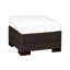 Club Outdoor Ottoman with Cushion-38586788-63361357-70039854