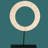 India. Curated. Exquisite Baywood Handcrafted Bone Inlay Circular Décor Accent with Black Mounting