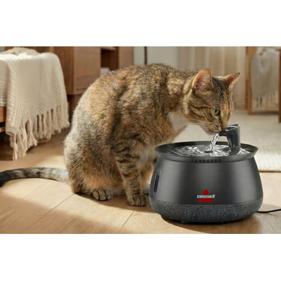 HydrateWell automatic water fountain