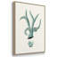 Antique Coastal Coral X, impression sur toile 3 pièces-91887656-91887653