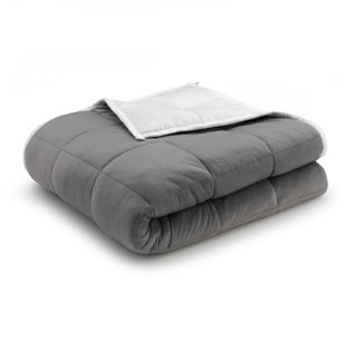 https://assets.wfcdn.com/im/65253325/resize-h310-w310%5Ecompr-r85/2375/237552055/sydnee-weighted-anti-anxiety-blanket.jpg