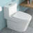 12 - Inch Rough In Ceramic Toilet, Dual Flush 1.24/1.43 , Soft Close Pp Seat, 800G Map Rating, Fully Glazed For Stain Toilet One Piece In, Hygienic Solution