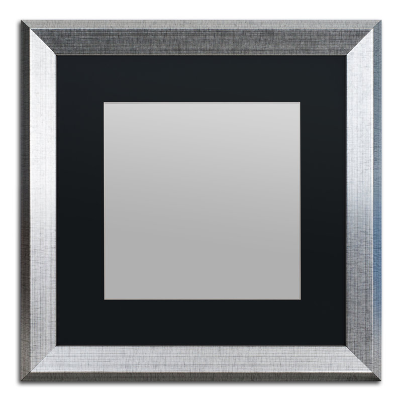 Traditional, 19.5" H x 19.5" W x 1.25" D, Silver Framed, Black