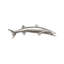 Animals Barracuda Fish Wall Décor