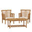 2 CHAISES CLUB CAYDON + TABLE