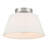 Orlandus 1-Light Ceiling Light in Brushed Nickel-491475284