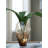 Ewart Vase-1227013397