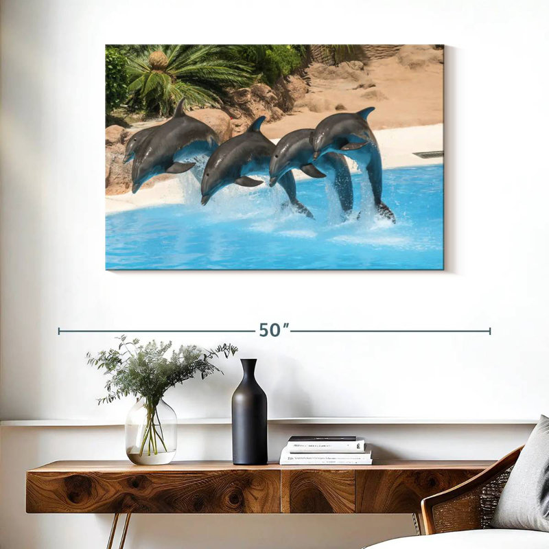 Dauphins synchronisés, H 26 po x l 39 po