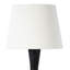Lampe de table en métal Poe (noir)