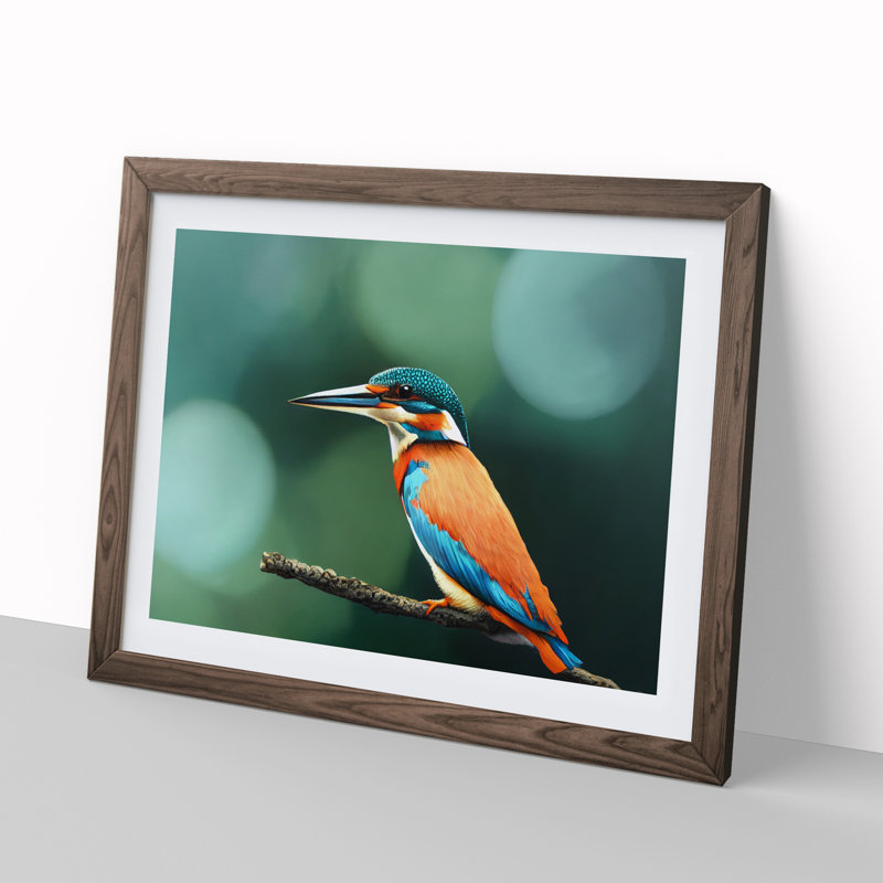 Splendid Kingfisher Bird - Framed Print, 46cm H x 64cm W x 2cm D, Walnut