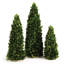 High Cone Topiary