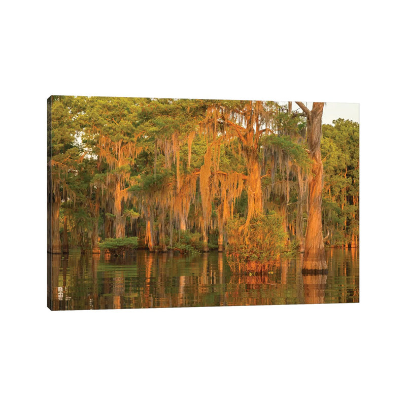 USA, Louisiana, Atchafalaya National Wildlife Refuge. Sunrise On Swamp. by Jaynes Gallery - Wrapped Canvas Gallery-Wrapped Canvas Giclée