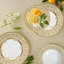 Carlsbad Queen White Bone China Dinner Plate
