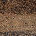 Rustic Oak