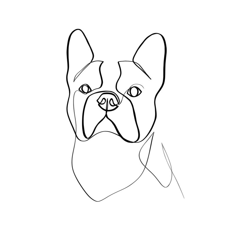 French Bulldog II by Dane Khy - Wrapped Canvas Gallery-Wrapped Canvas Giclée, 93.98 cm H x 93.98 cm W