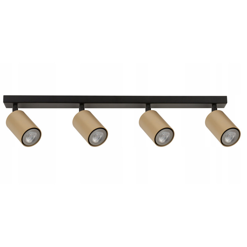 Pugsley Spotlight, Gold, Black/Gold
