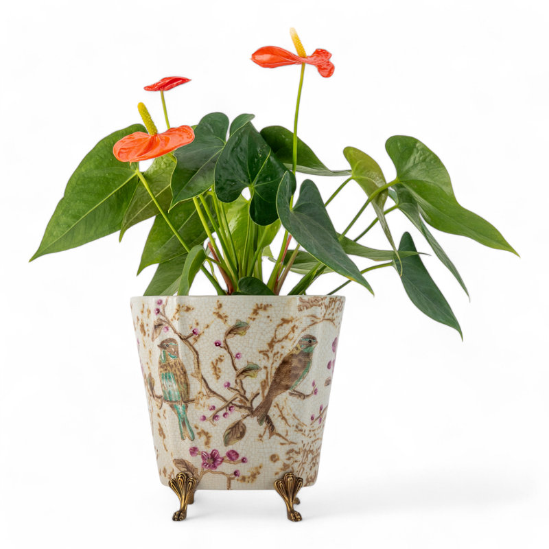 Spring Blossoms Oval Porcelain Planter with Bronze Ormolu