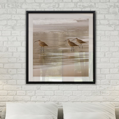 Shore Birds I - reproduction de cadre photo