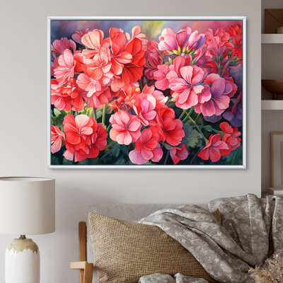 " Geraniums Sunset Blooming "
