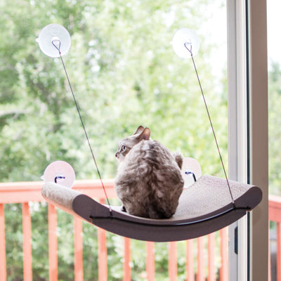 Cat Perch